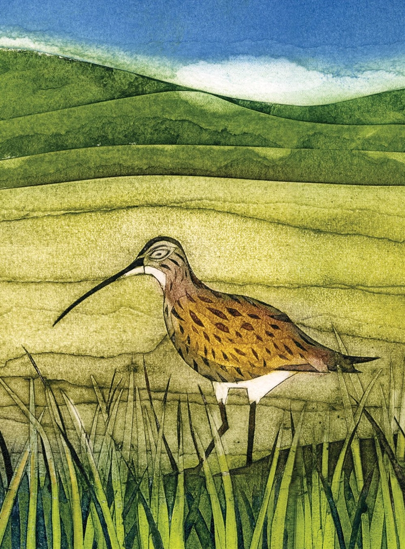 Wild Birds Pocket Notebooks - Curlew/Product Detail/Art