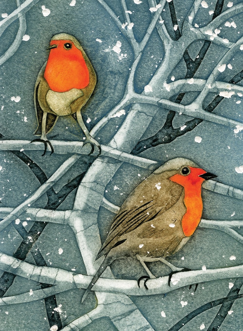 Wild Birds Pocket Notebook - Robin/Product Detail/Stationery