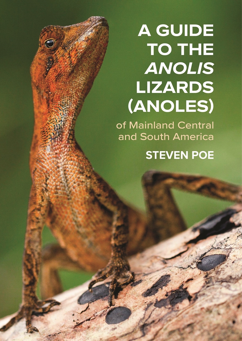 A Guide to the Anolis Lizards (Anoles) of Mainland Central and South America/Product Detail/Animals & Nature