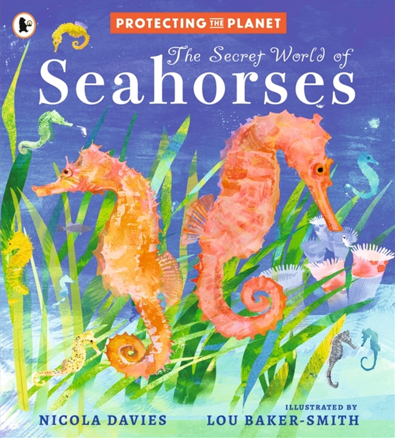 Protecting the Planet: The Secret World of Seahorses/Product Detail/Childrens