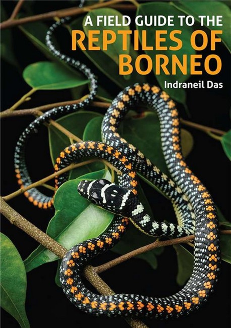 A Field Guide to the Reptiles of Borneo/Product Detail/Animals & Nature