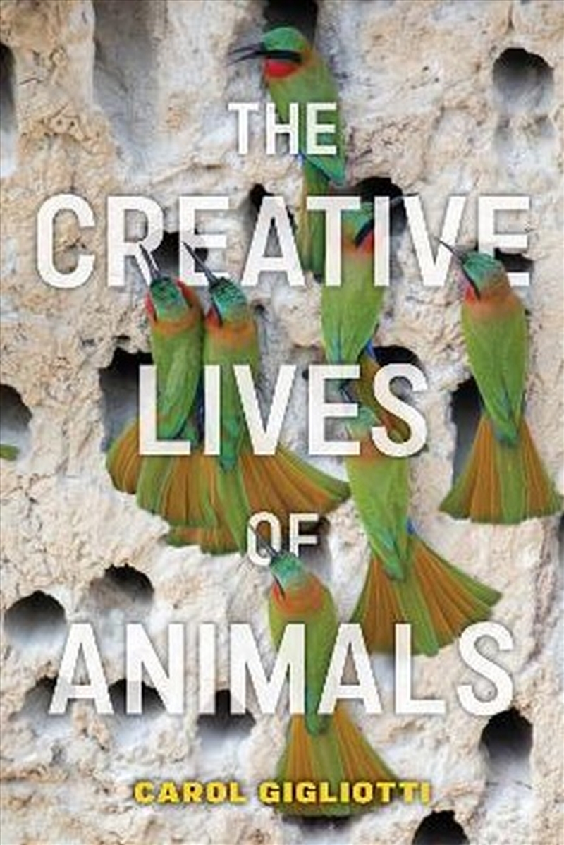 The Creative Lives Of Animals/Product Detail/Animals & Nature