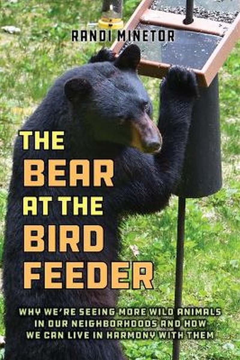 The Bear at the Bird Feeder/Product Detail/Animals & Nature