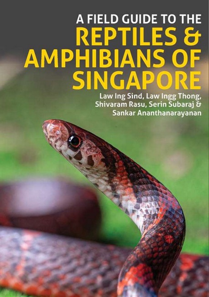 A Field Guide to the Reptiles and Amphibians of Singapore/Product Detail/Animals & Nature