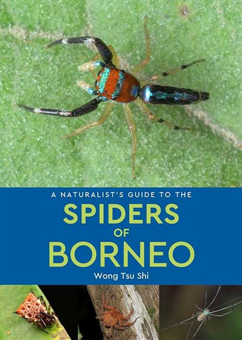 A Naturalist's Guide to the Spiders of Borneo/Product Detail/Animals & Nature