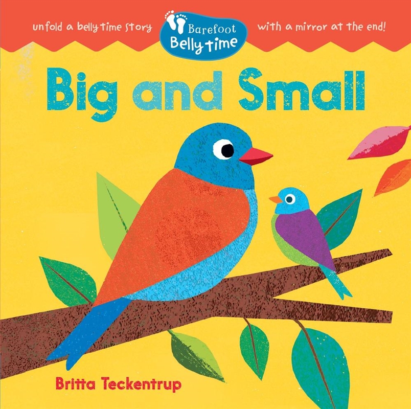 Barefoot Belly Time: Big and Small/Product Detail/Early Childhood Fiction Books