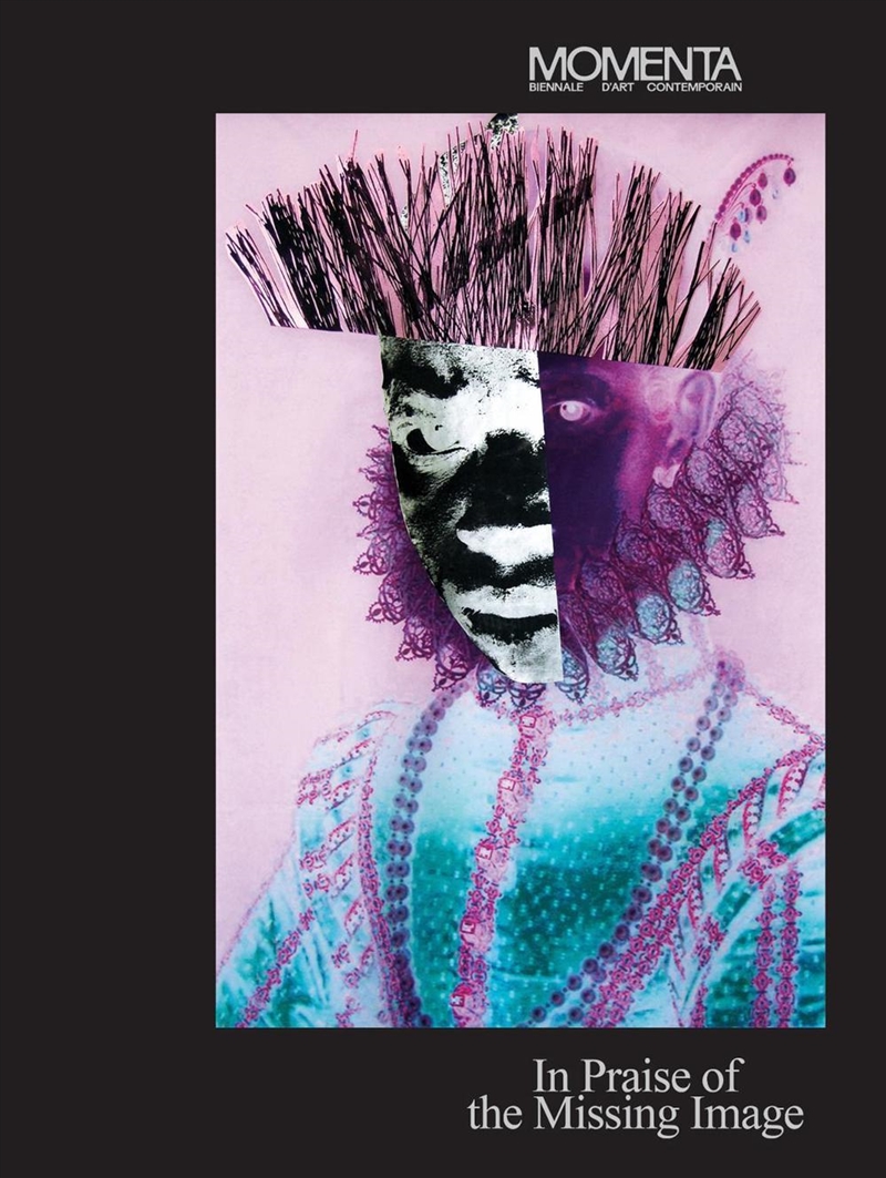 MOMENTA: In Praise of the Missing Image/Product Detail/Art