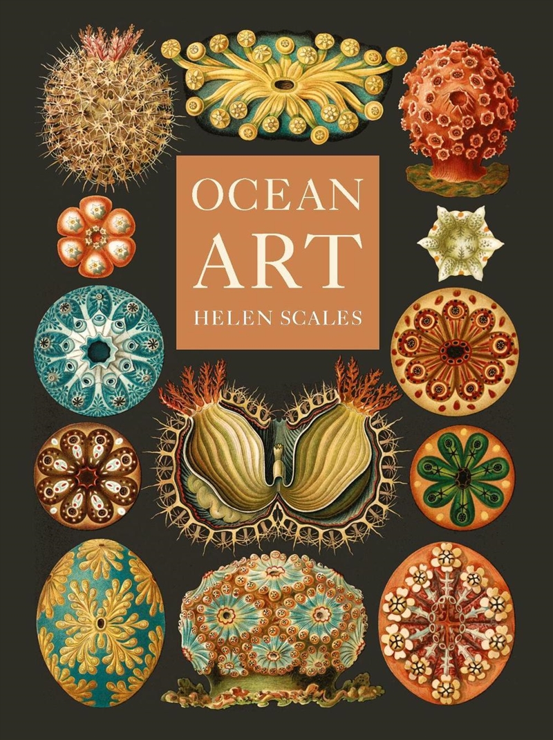 Ocean Art/Product Detail/Art