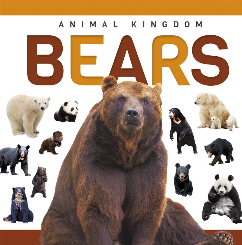 Genius Kid: Animal Kingdom: Bears/Product Detail/Childrens
