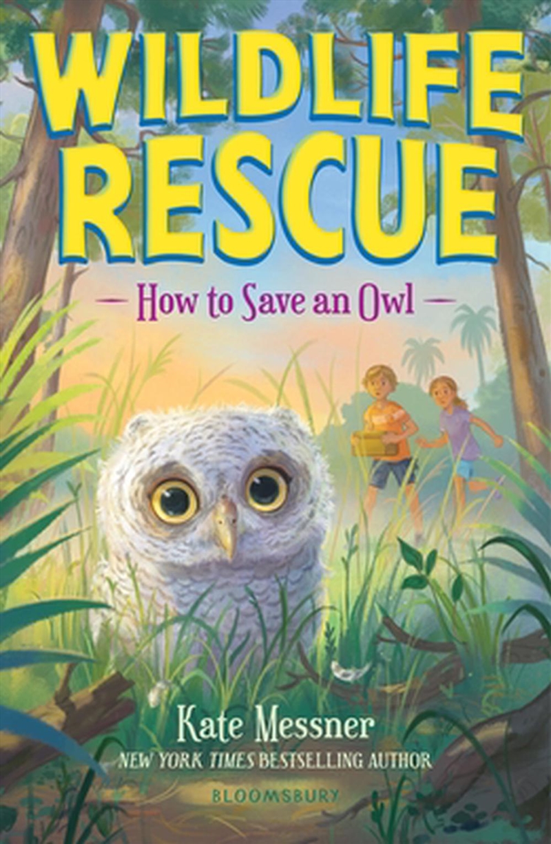 How to Save an Owl/Product Detail/Childrens Fiction Books