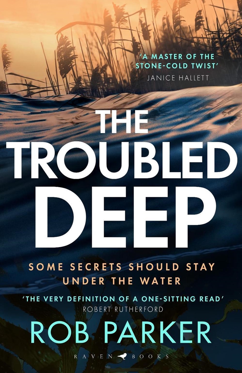 The Troubled Deep/Product Detail/Thrillers & Horror Books
