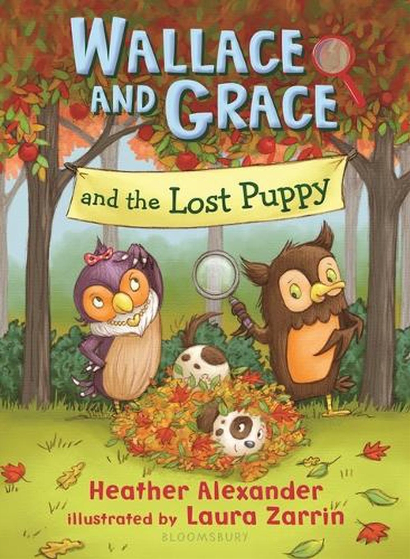 Wallace and Grace and the Lost Puppy/Product Detail/Childrens Fiction Books