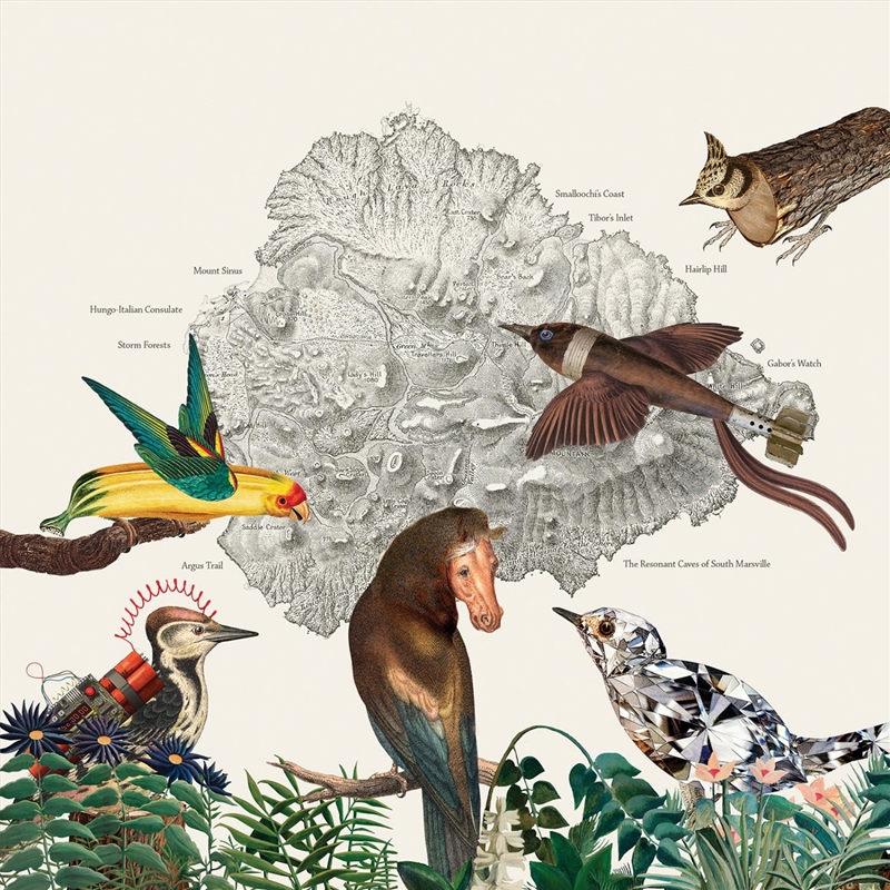 The Birds of Marsville/Product Detail/Alternative