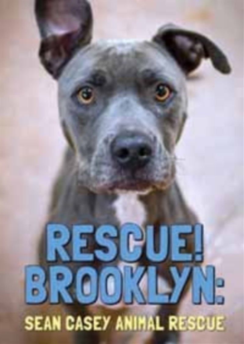 Rescue! Brooklyn (REGION 2)/Product Detail/Documentary