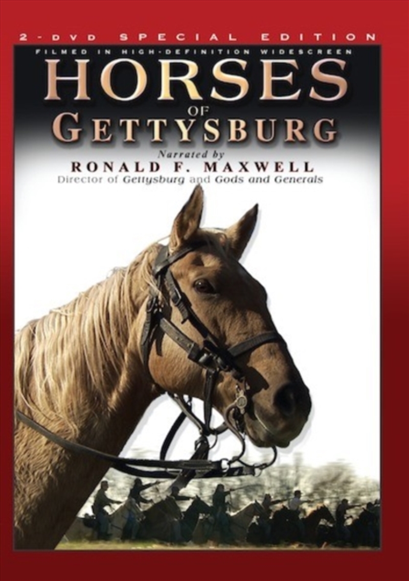 Horses Of Gettysburg (REGION 2)/Product Detail/Documentary