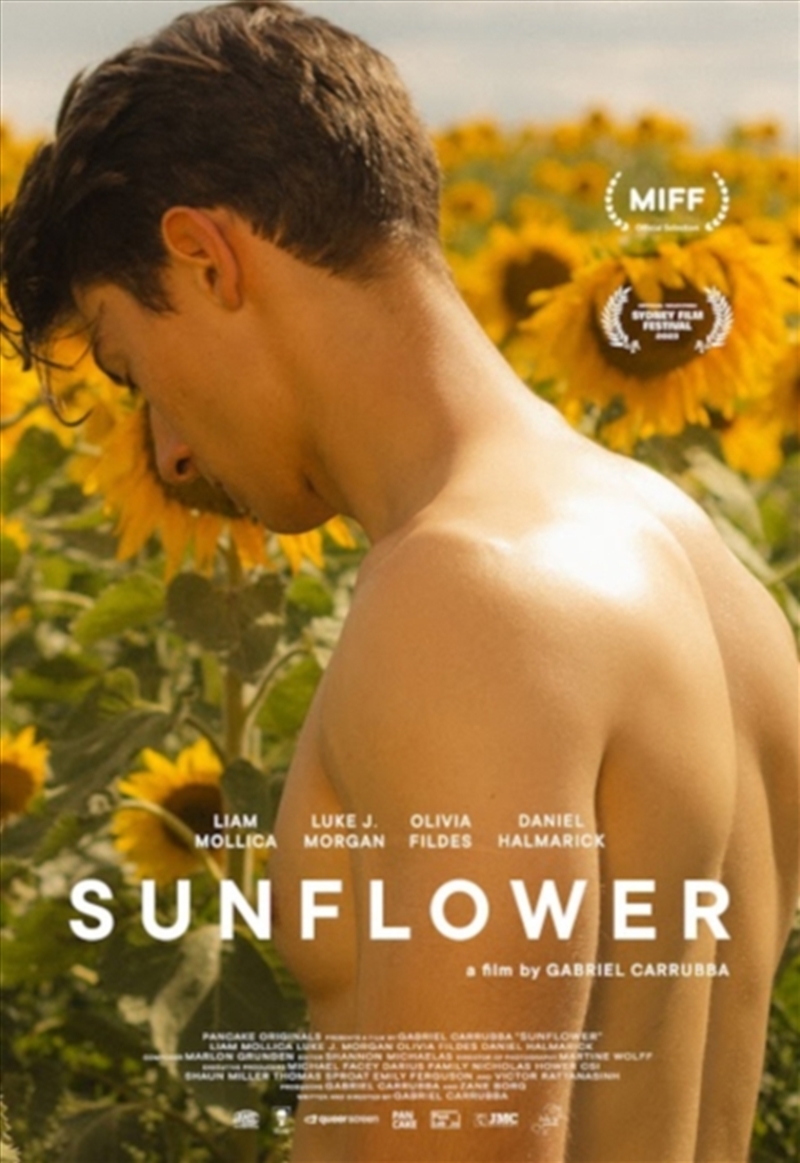 Sunflower (REGION 2)/Product Detail/Drama