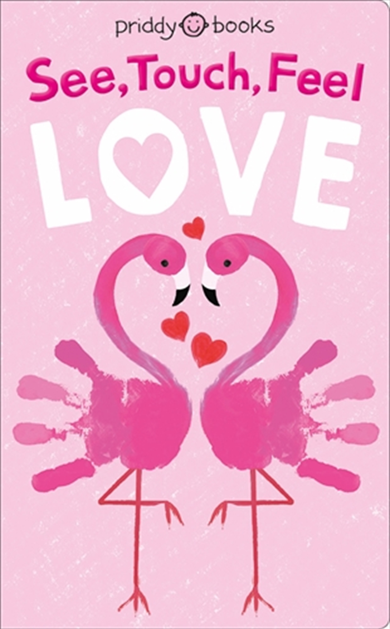 See, Touch, Feel: Love/Product Detail/Early Childhood Fiction Books