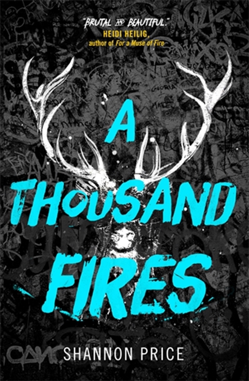 A Thousand Fires/Product Detail/Childrens Fiction Books