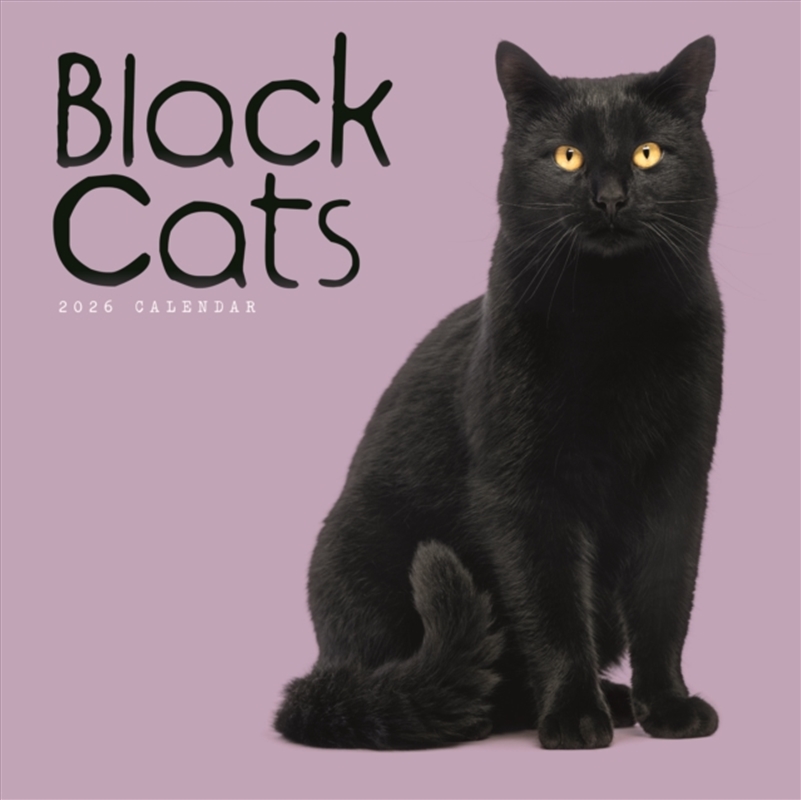 Black Cats Square Wall Calendar 2026/Product Detail/Calendars & Diaries