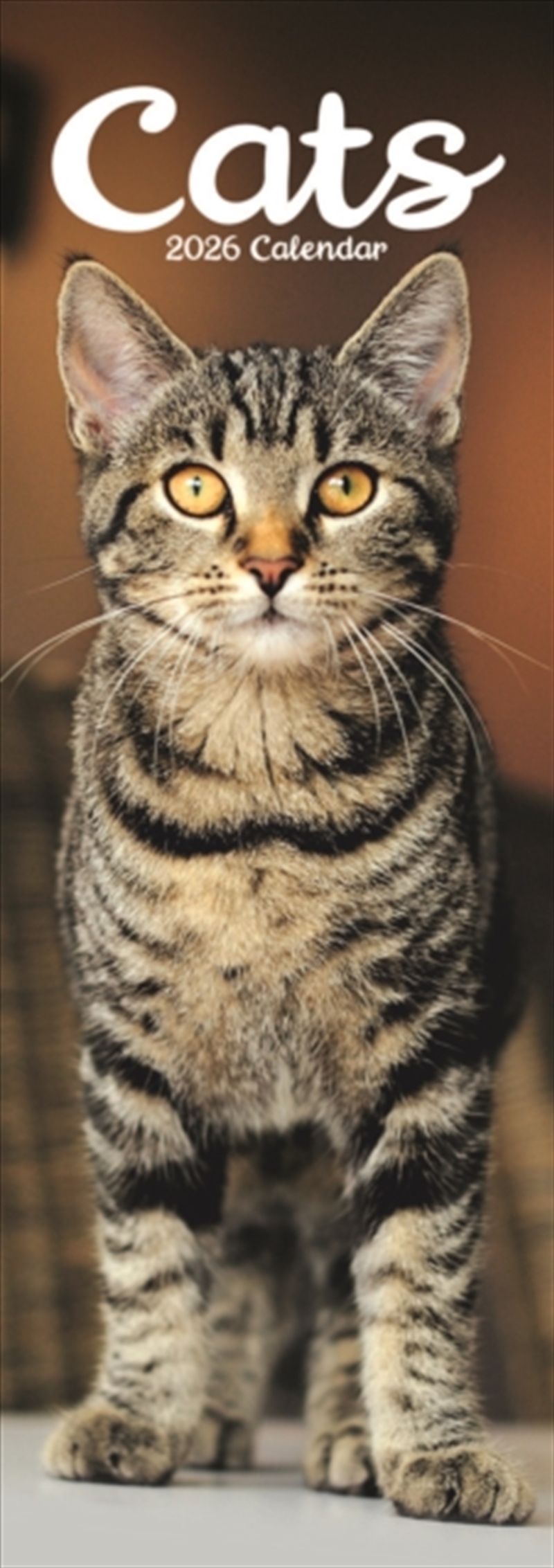 Cats Slim Calendar 2026 Cute Slimline Calendar - 12 Month/Product Detail/Calendars & Diaries