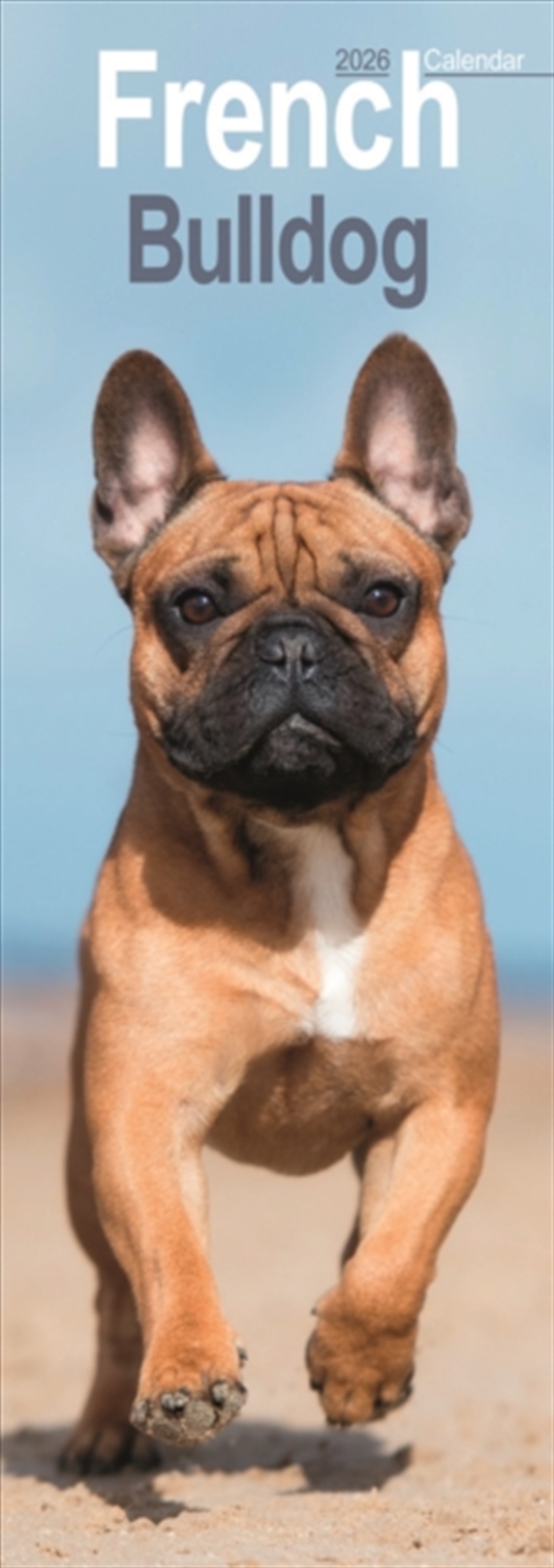 French Bulldog Slim Calendar 2026 Dog Breed Slimline Calendar - 12 Month/Product Detail/Calendars & Diaries
