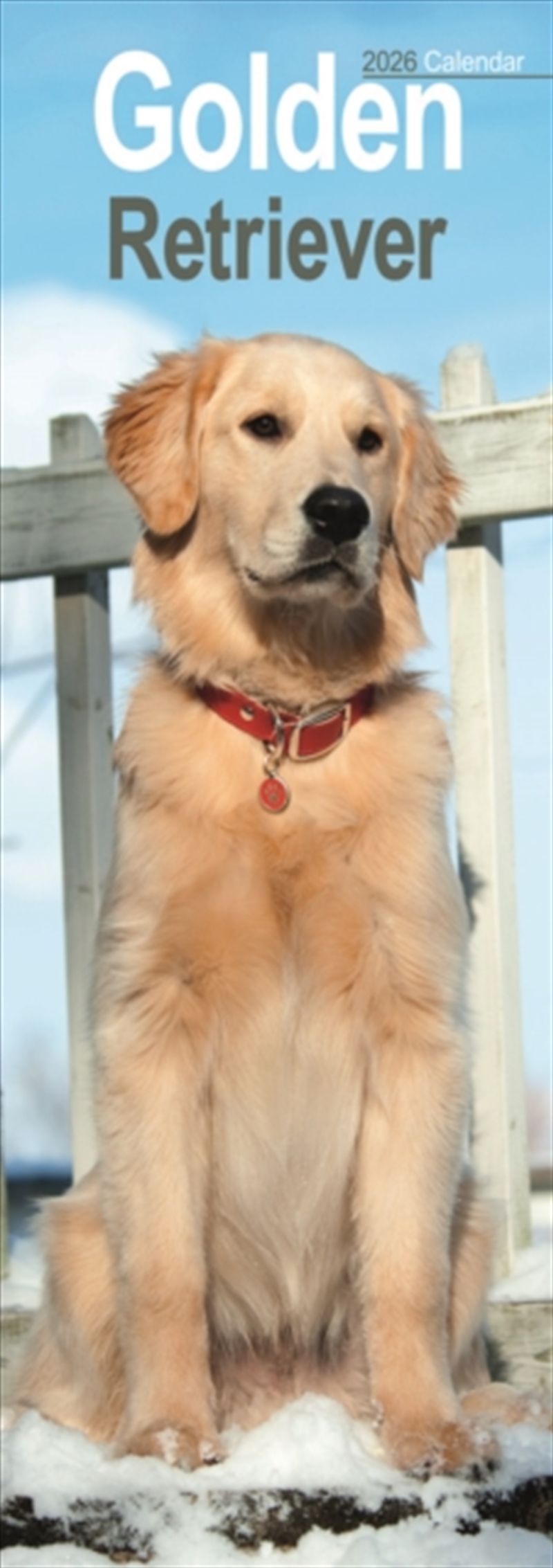 Golden Retriever Slim Calendar 2026 Dog Breed Slimline Calendar - 12 Month/Product Detail/Calendars & Diaries