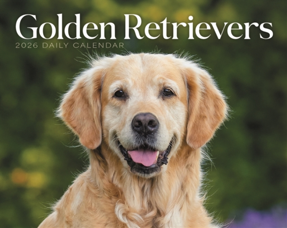 Goldens Retrievers Box Calendar 2026/Product Detail/Calendars & Diaries