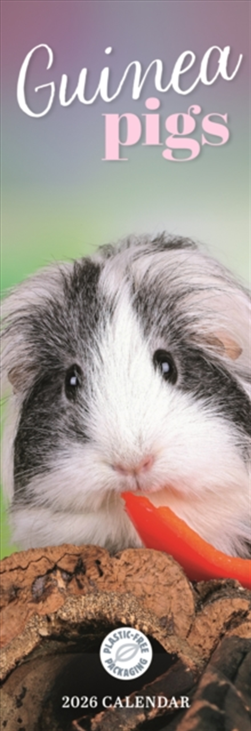Guinea Pigs Slim Calendar 2026/Product Detail/Calendars & Diaries