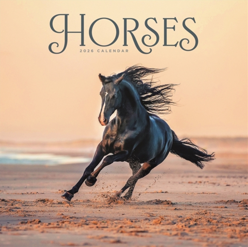 Horses Wiro Wall Calendar 2026/Product Detail/Calendars & Diaries