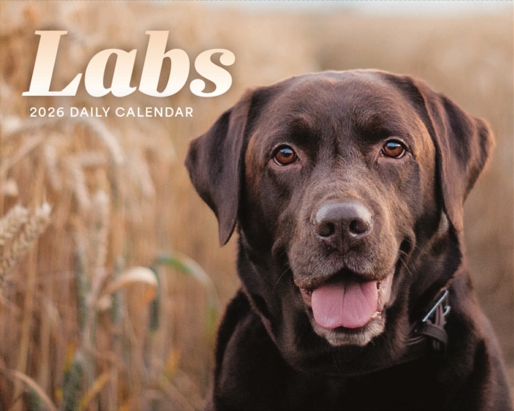 Labs Box Calendar 2026/Product Detail/Calendars & Diaries