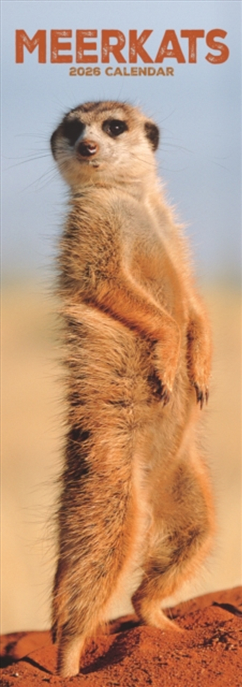 Meerkats Slim Calendar 2026 Cute Slimline Calendar - 12 Month/Product Detail/Calendars & Diaries