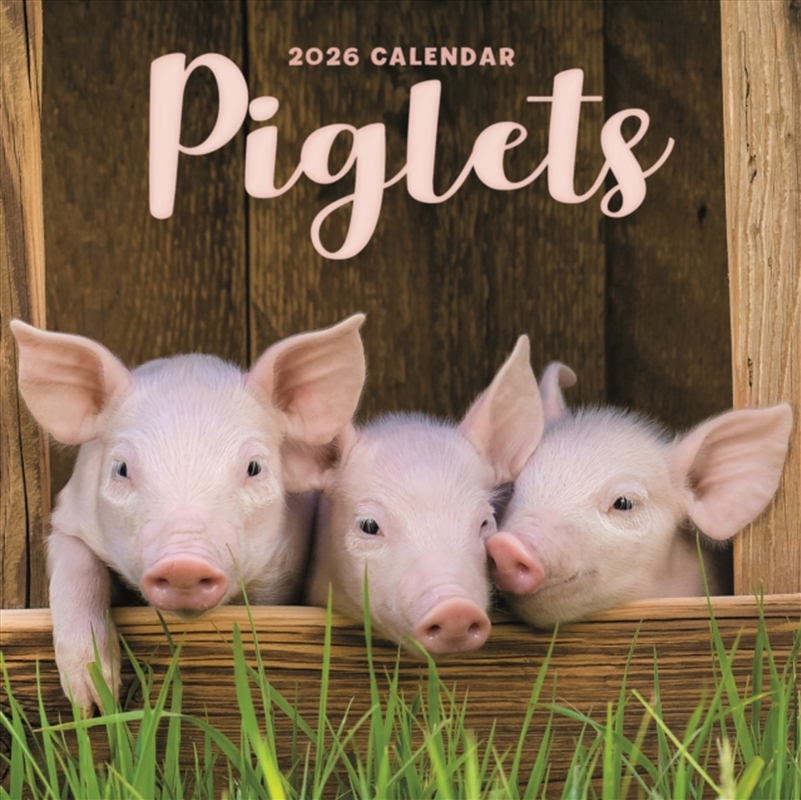 Piglets Square Mini Calendar 2026/Product Detail/Calendars & Diaries