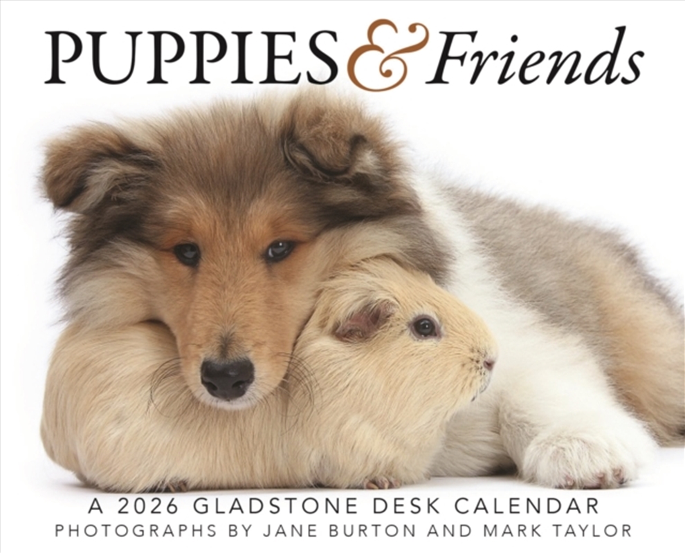 Puppies Friends Box Calendar 2026/Product Detail/Calendars & Diaries