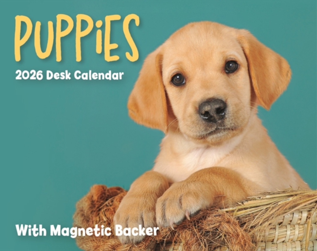 Puppies Mini Box Calendar 2026/Product Detail/Calendars & Diaries