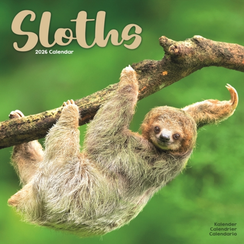 Sloths Calendar 2026 Square Animal Wall Calendar - 16 Month/Product Detail/Calendars & Diaries