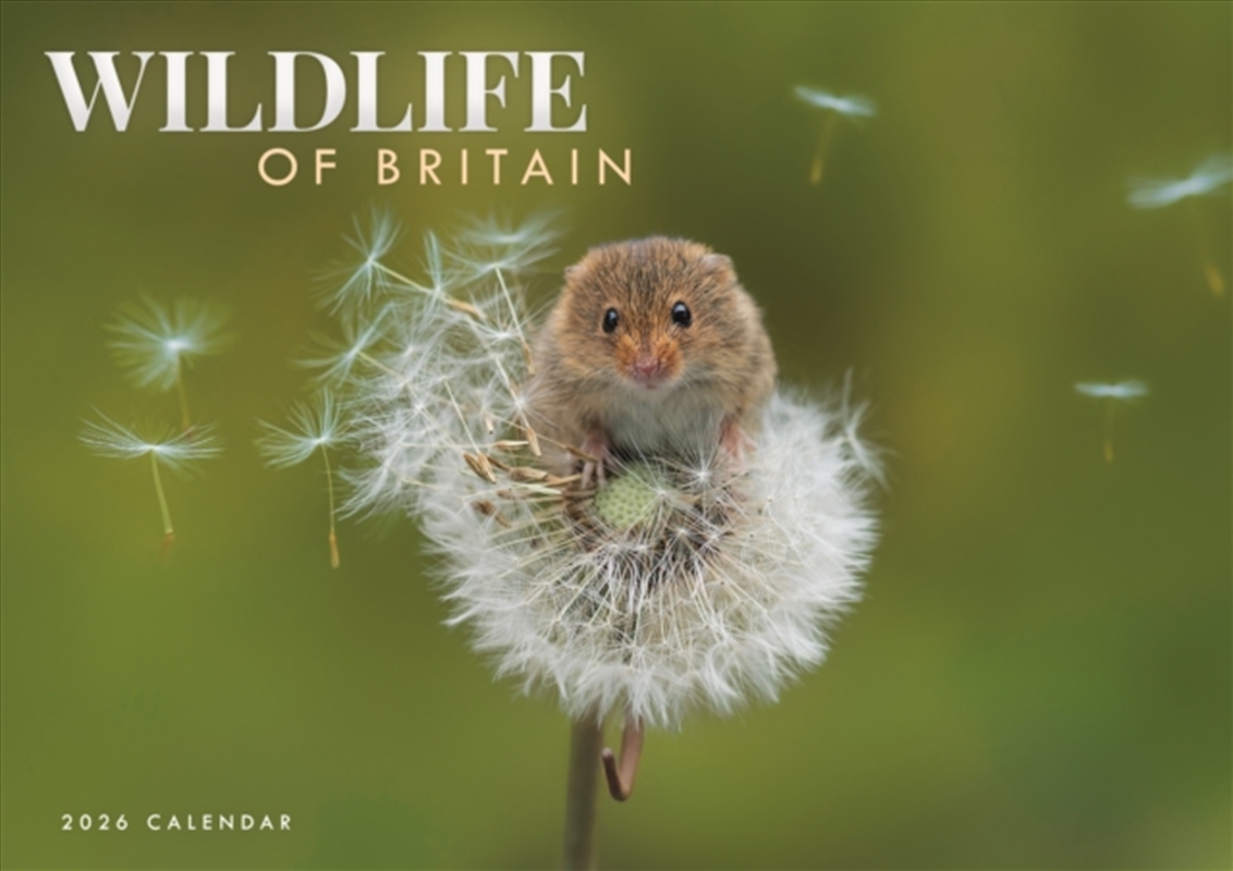 Wildlife Of Britain A4 Calendar 2026/Product Detail/Calendars & Diaries