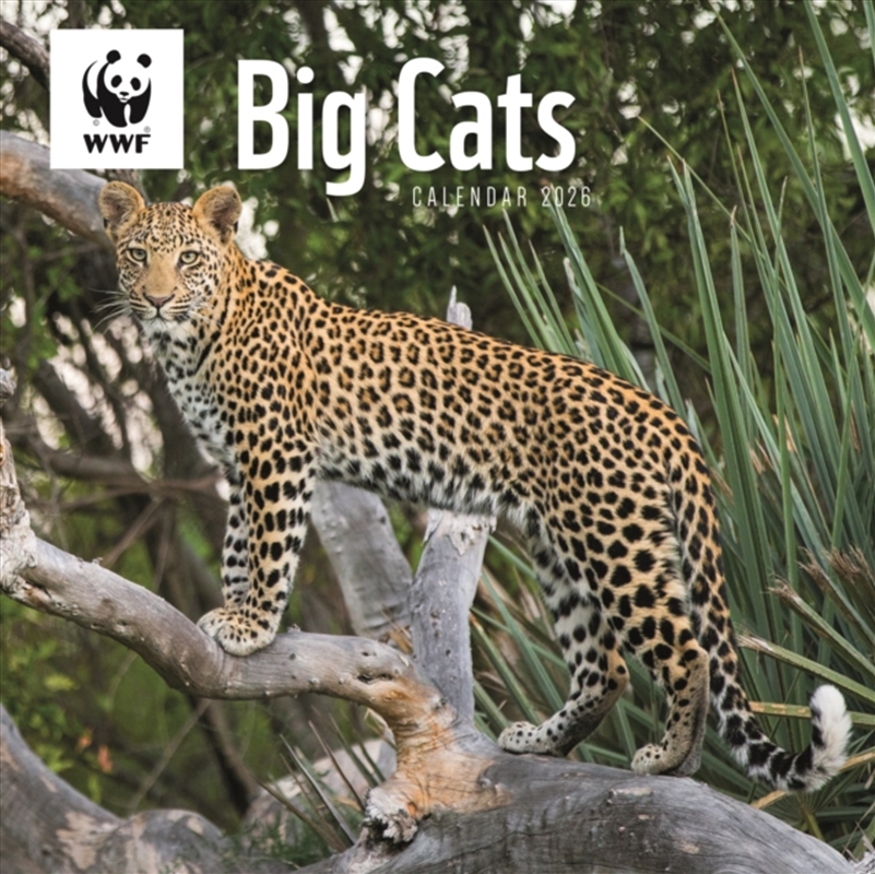 Wwf Big Cats Square Wall Calendar 2026/Product Detail/Calendars & Diaries