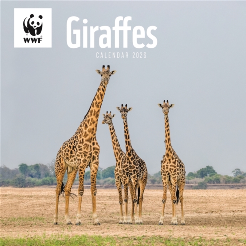 Wwf Giraffes Square Wall Calendar 2026/Product Detail/Calendars & Diaries