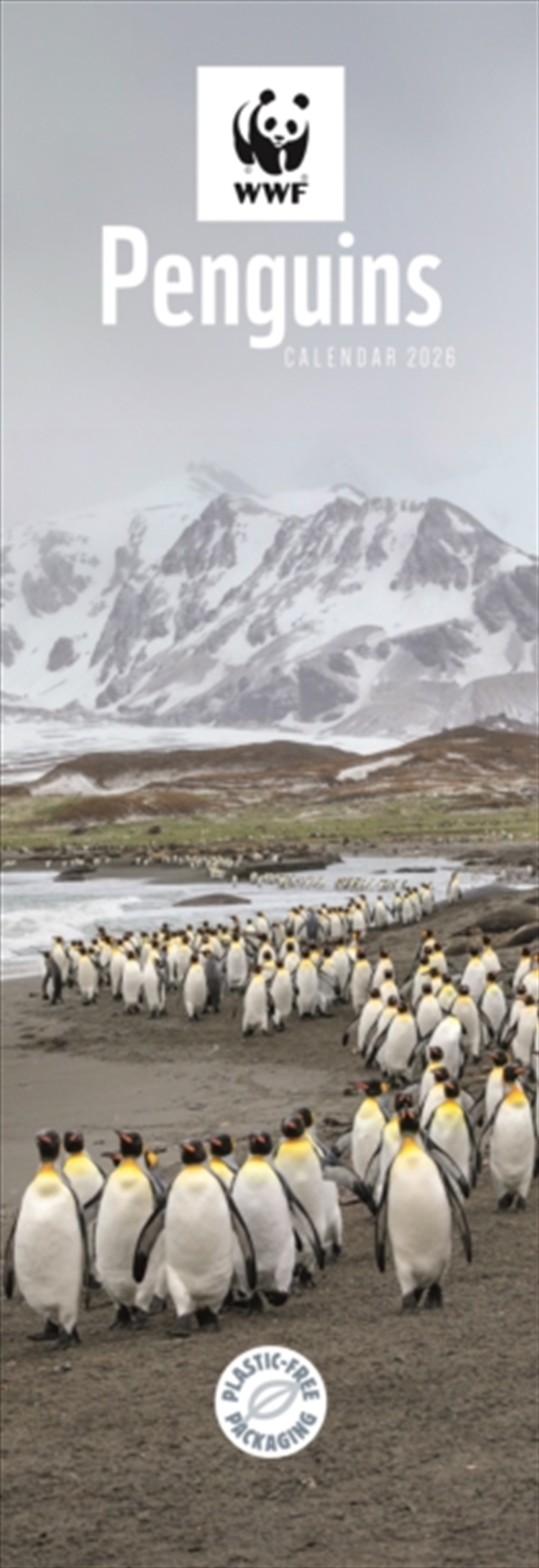 Wwf Penguins Slim Calendar 2026/Product Detail/Calendars & Diaries