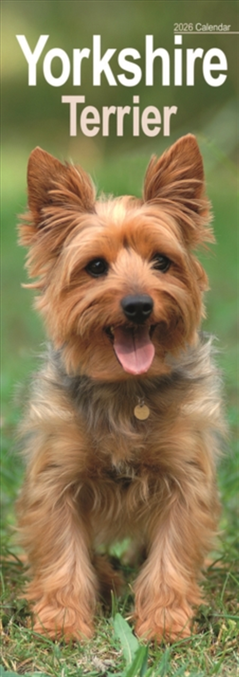 Yorkshire Terrier Slim Calendar 2026 Dog Breed Slimline Calendar - 12 Month/Product Detail/Calendars & Diaries