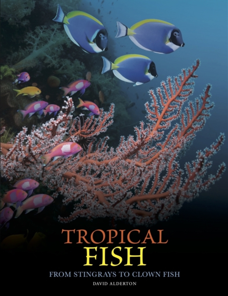 Tropical Fish: From Stingrays To Clown Fish/Product Detail/Photography