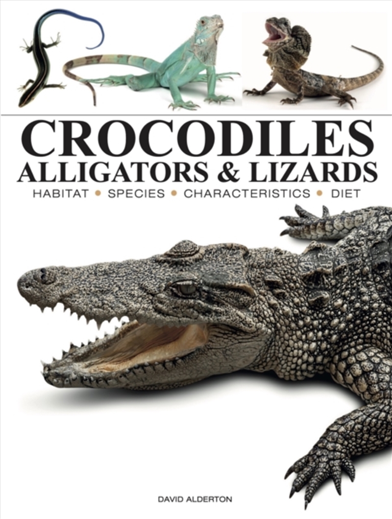 Crocodiles, Alligators & Lizards/Product Detail/Animals & Nature