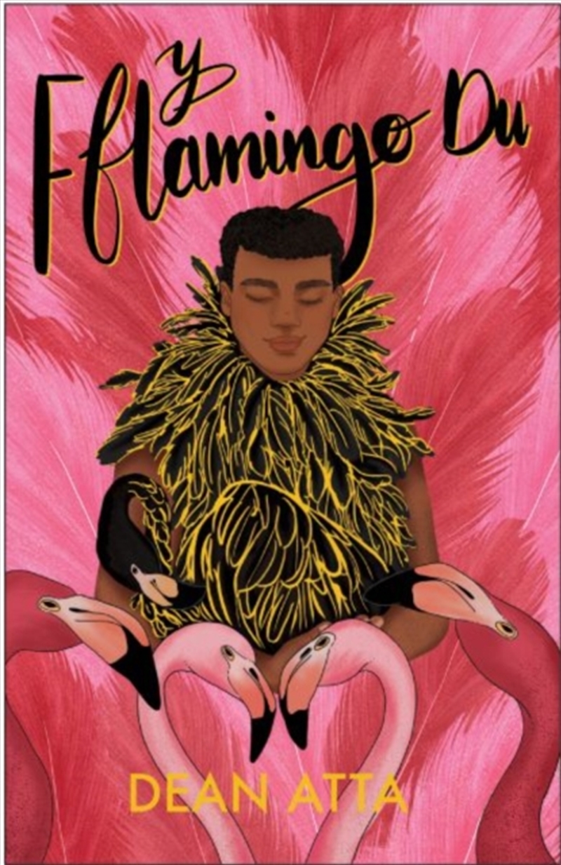 Y Fflamingo Du/Product Detail/Young Adult Fiction