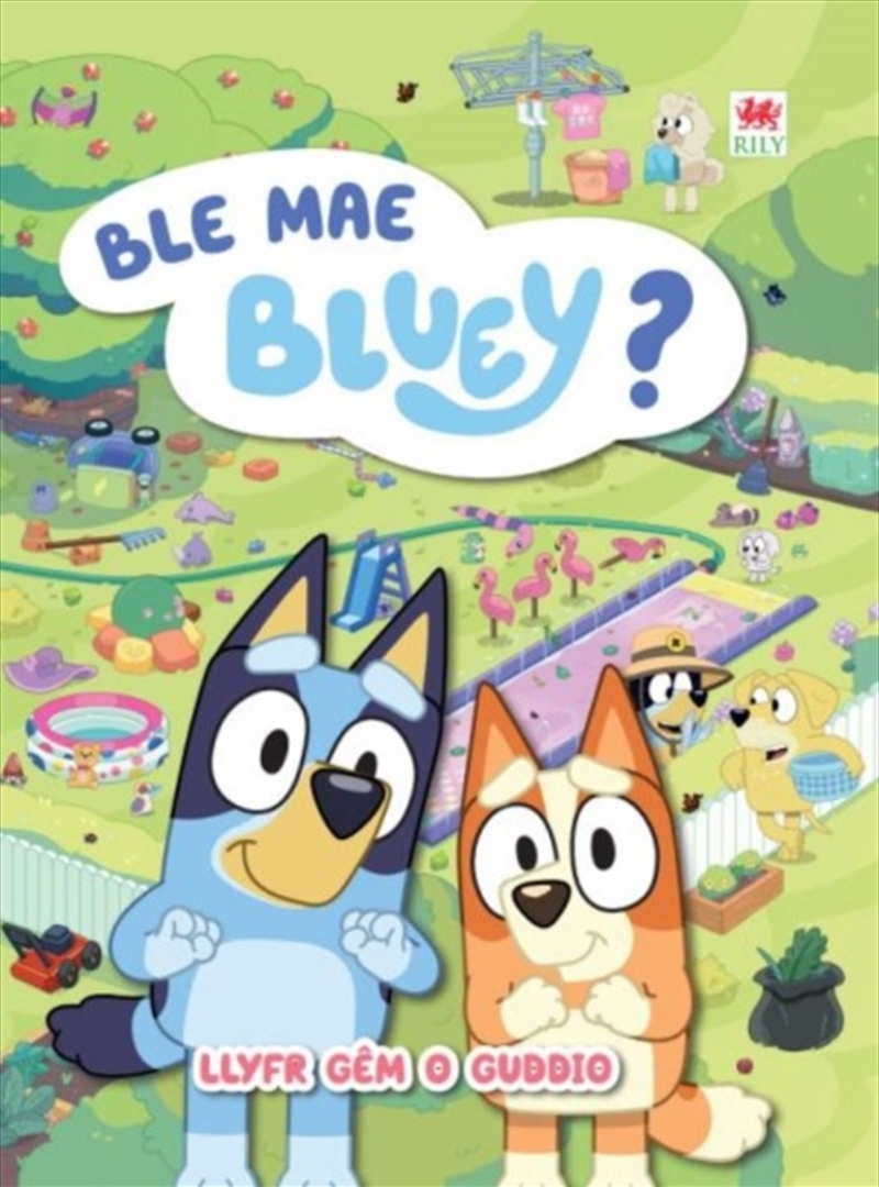 Ble Mae Bluey?/Product Detail/Early Childhood Fiction Books