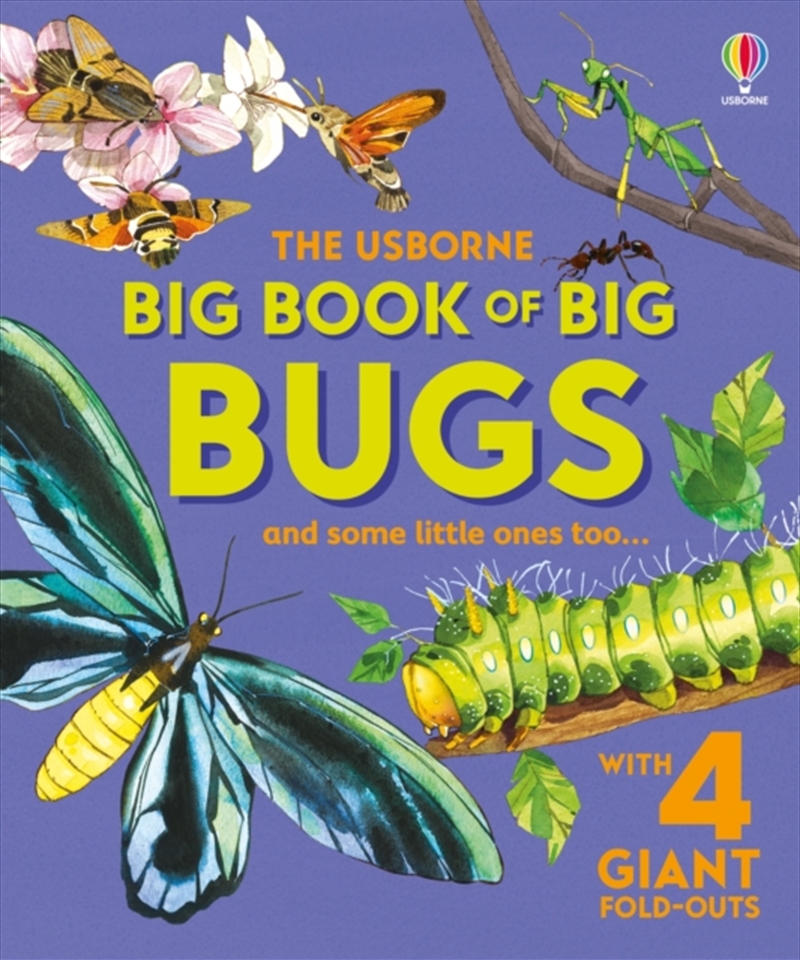 Big Book Of Big Bugs/Product Detail/Childrens