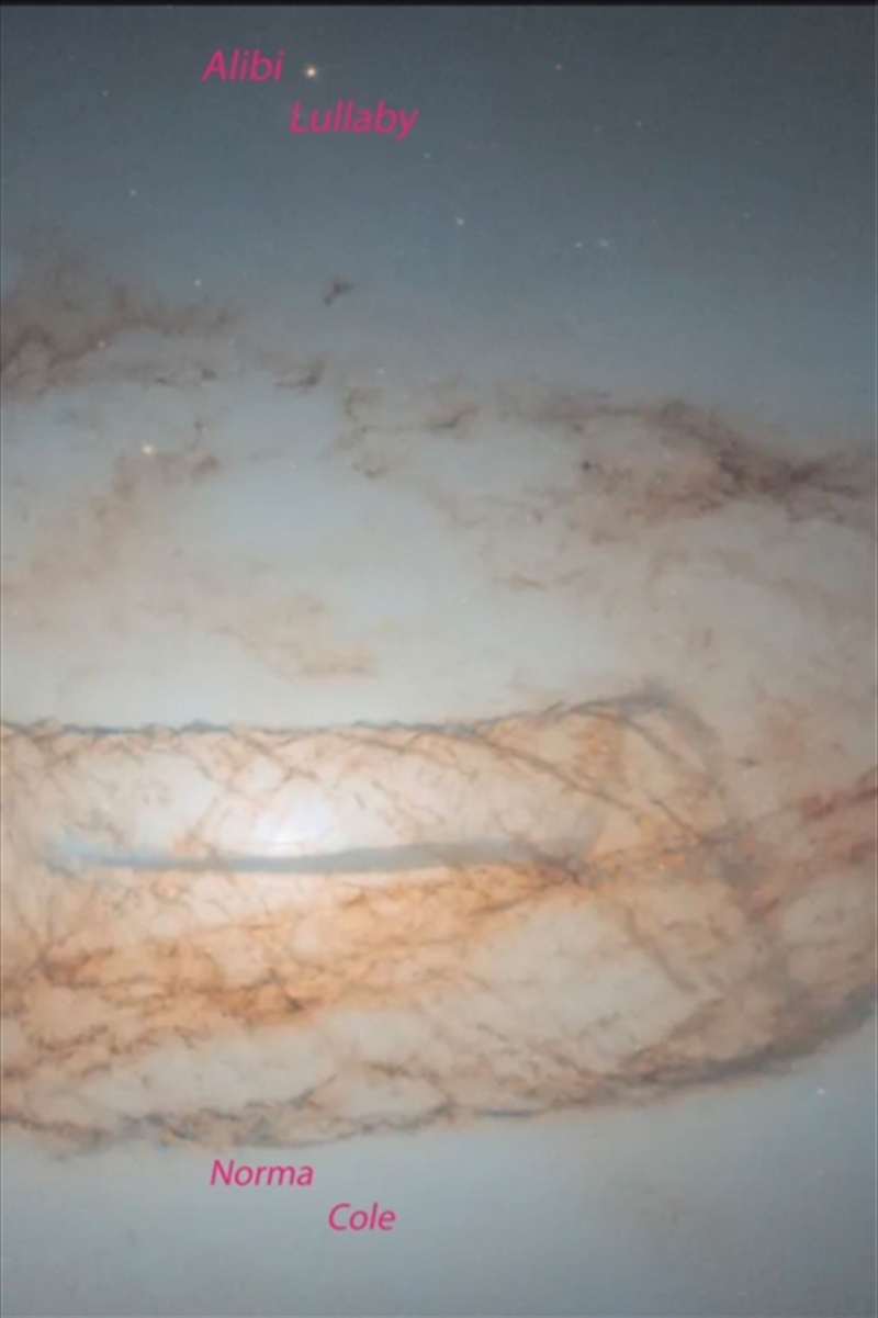 Alibi Lullaby/Product Detail/House and Home Design