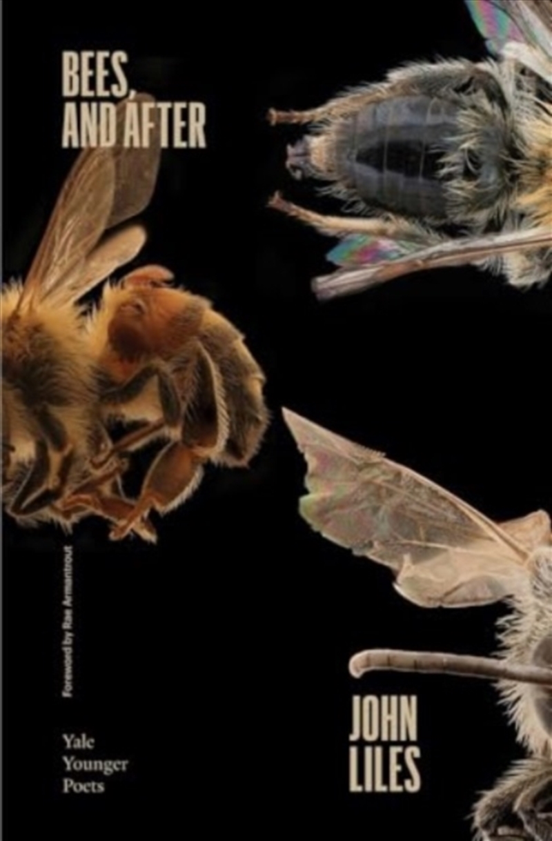 Bees, And After/Product Detail/Literature & Poetry