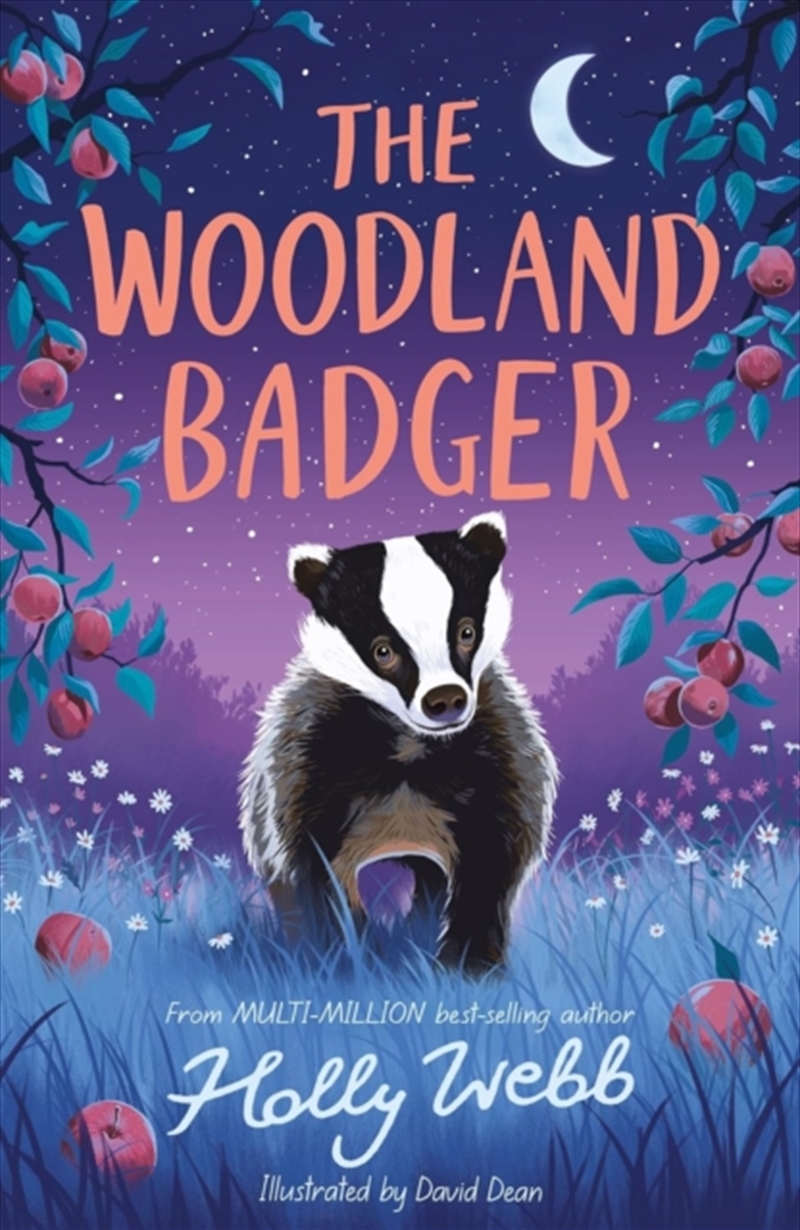 The Woodland Badger/Product Detail/Childrens Fiction Books