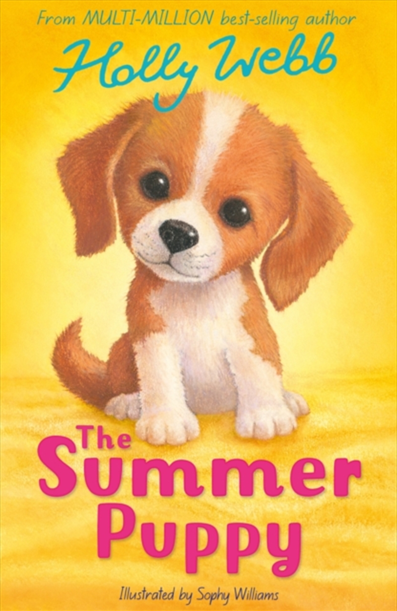 The Summer Puppy/Product Detail/Childrens Fiction Books