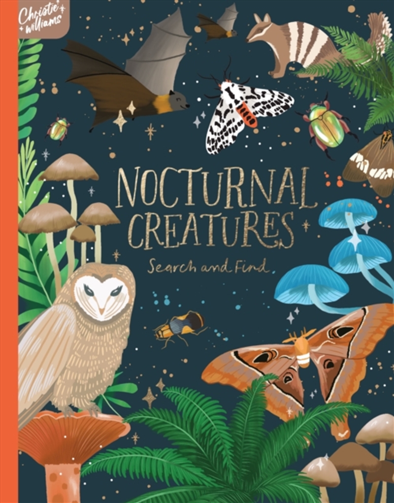 Nocturnal Creatures Search And Find/Product Detail/Early Childhood Fiction Books